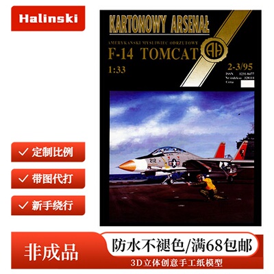 Halinski KA 1995-02-03 - F-14 Tomcat纸模型印刷版