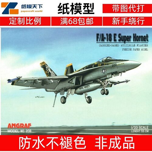 Angraf 208 - FA-18 E Super Hornet