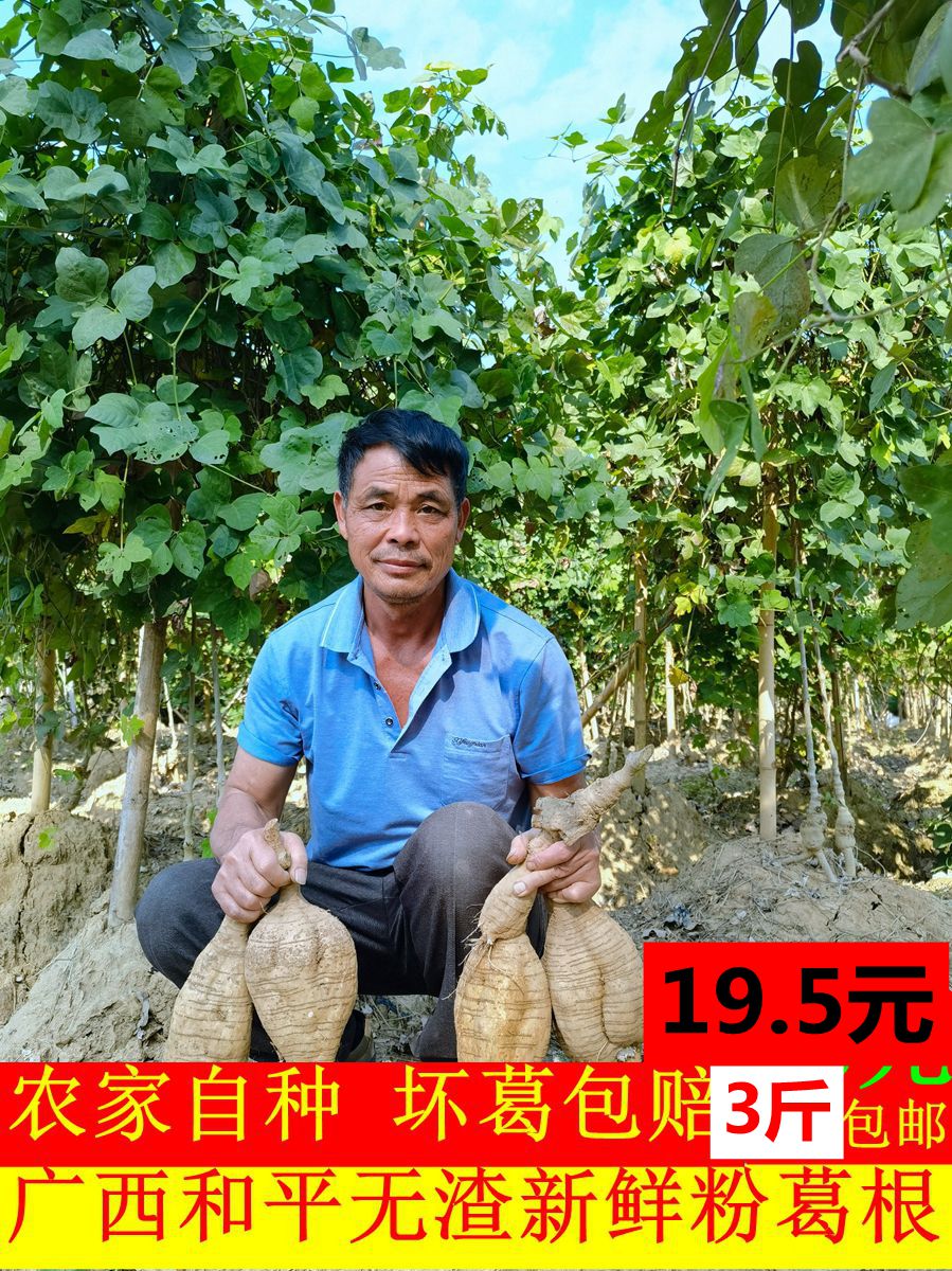 粉葛根新鲜广西野正宗生葛根无渣现挖葛薯广东煲汤生吃农产品3斤