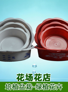 一个铜钱草水仙花水培花盆金钱草专用塑料碗莲水养竹一叶莲盆清仓