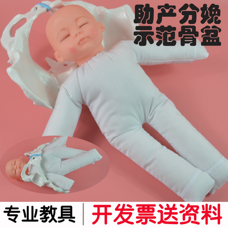 여성아동병원 조산 및 태아 난산|자연분만을 포함한 골반 모델 교육 및 분만 디스플레이 교육 모델