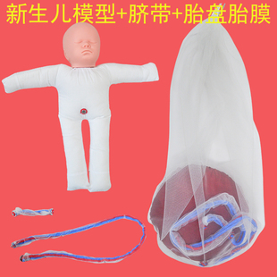 卫生院女性分娩示范骨盆模型 含初生儿宝宝带脐带胎盘胎膜教具