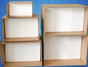 大七的多肉 保温箱 一物一拍 多肉植物  零下地方请拍下