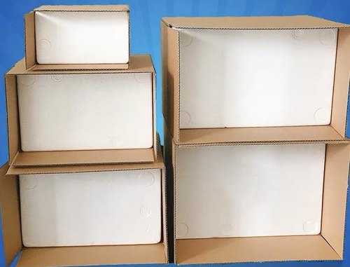 多肉植物大七一物一拍