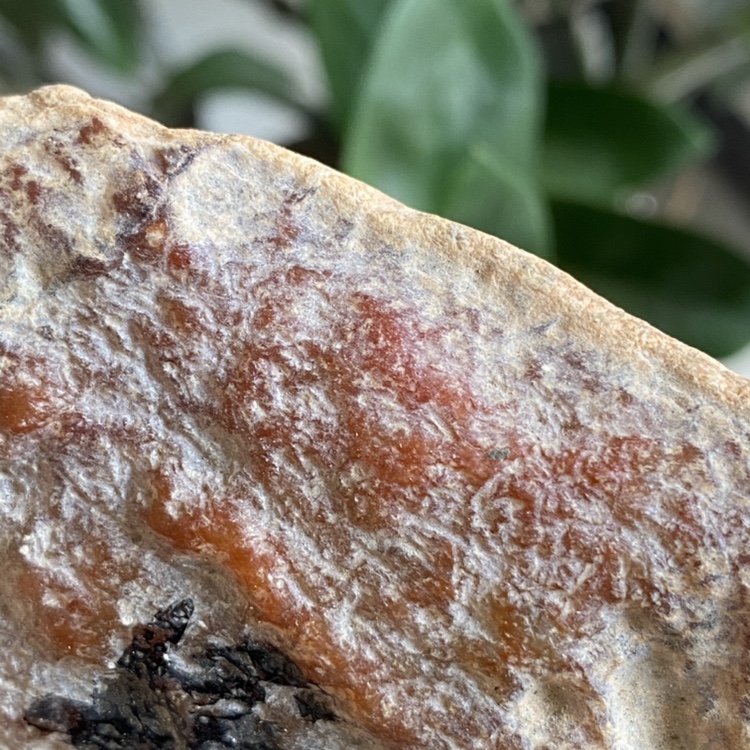 缅甸翡翠原石 冰黄翡 达摩坎 老坑翡翠黄翡翠料GT0234