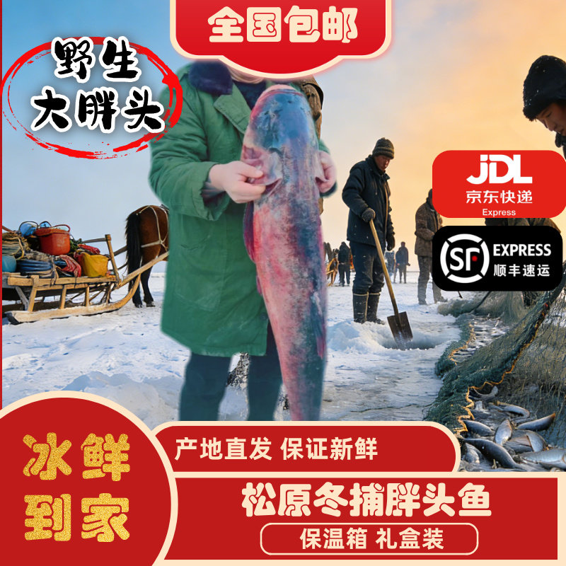 冬捕鱼胖头鱼5-50斤礼盒装鳙鱼花链鱼大头鱼吉林松原冷水鱼包邮,水产肉类/新鲜蔬果/熟食,淡水鱼类,淘宝优惠券,粉丝福利购,淘宝优惠卷
