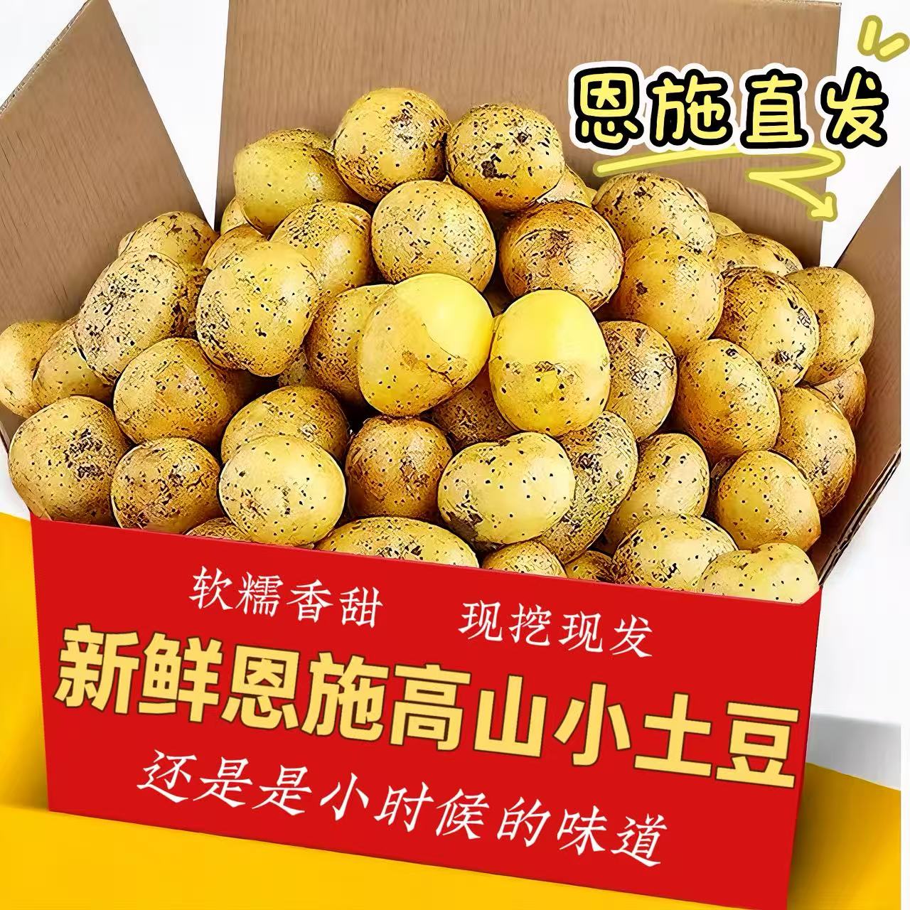 恩施高山黄心小土豆现挖软糯香甜