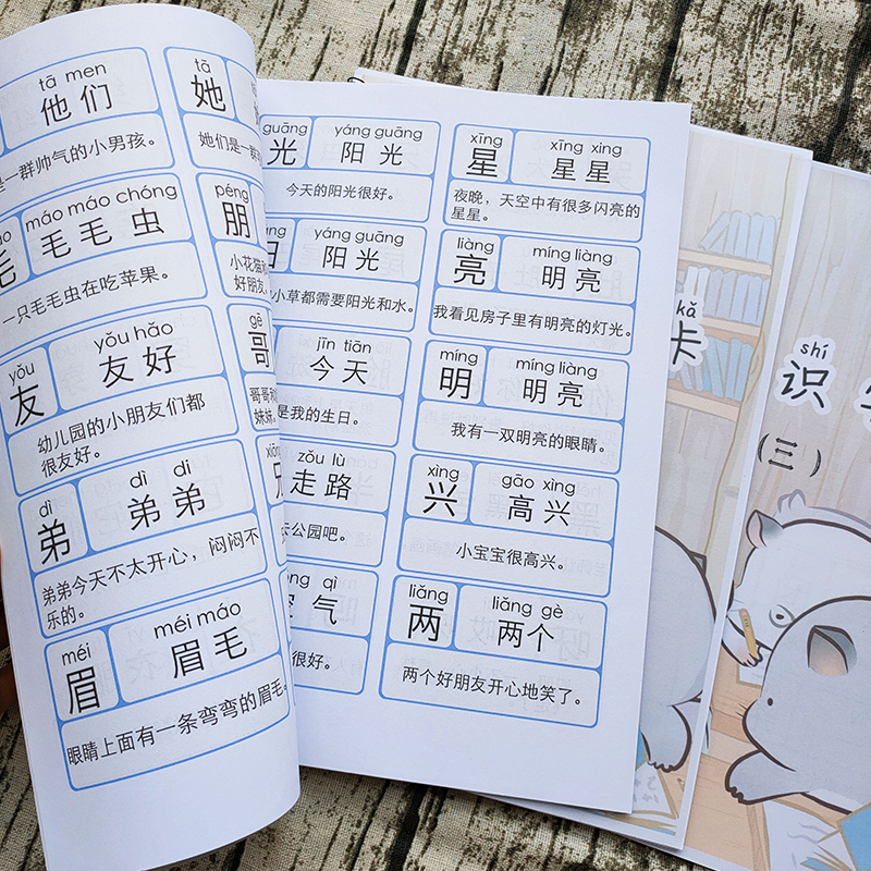 儿童幼小衔接阅读早教识字书