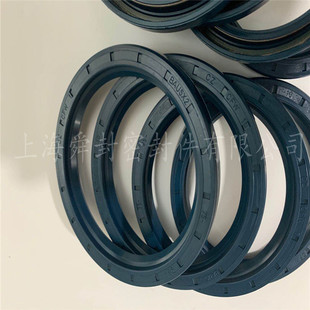 BAU5X2 75*95*10 单唇 DIN3760 A 德国油封 CFW品牌 科德宝原装