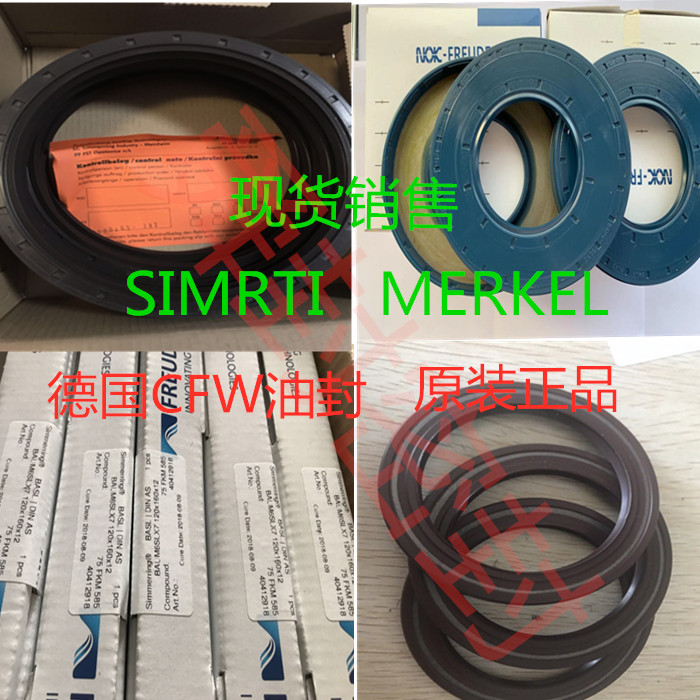 原装德国CFW BABSL 55*72*8/8.5 油泵马达进口骨架油封 BAB3SL