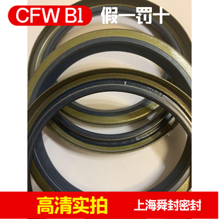 B1FUD4 85 105 10 油封 CFW DIN3760 B 德国外铁壳油封单唇科德宝