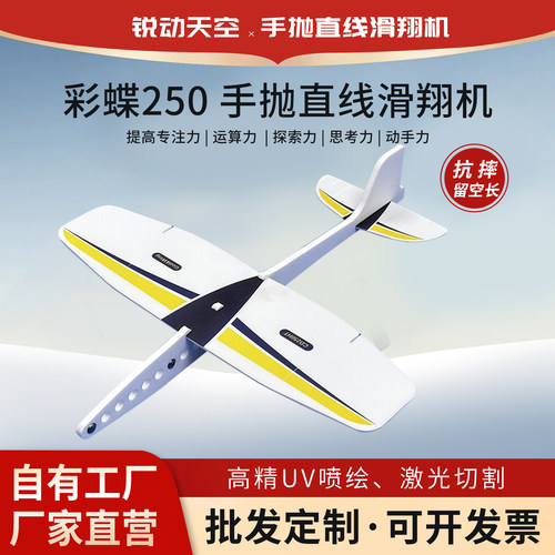 锐动天空CD250抗摔滑翔机航模