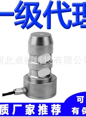 轴销式称重传感器XZB-2t XZB-3t XZB-4t suncells宁波柯力