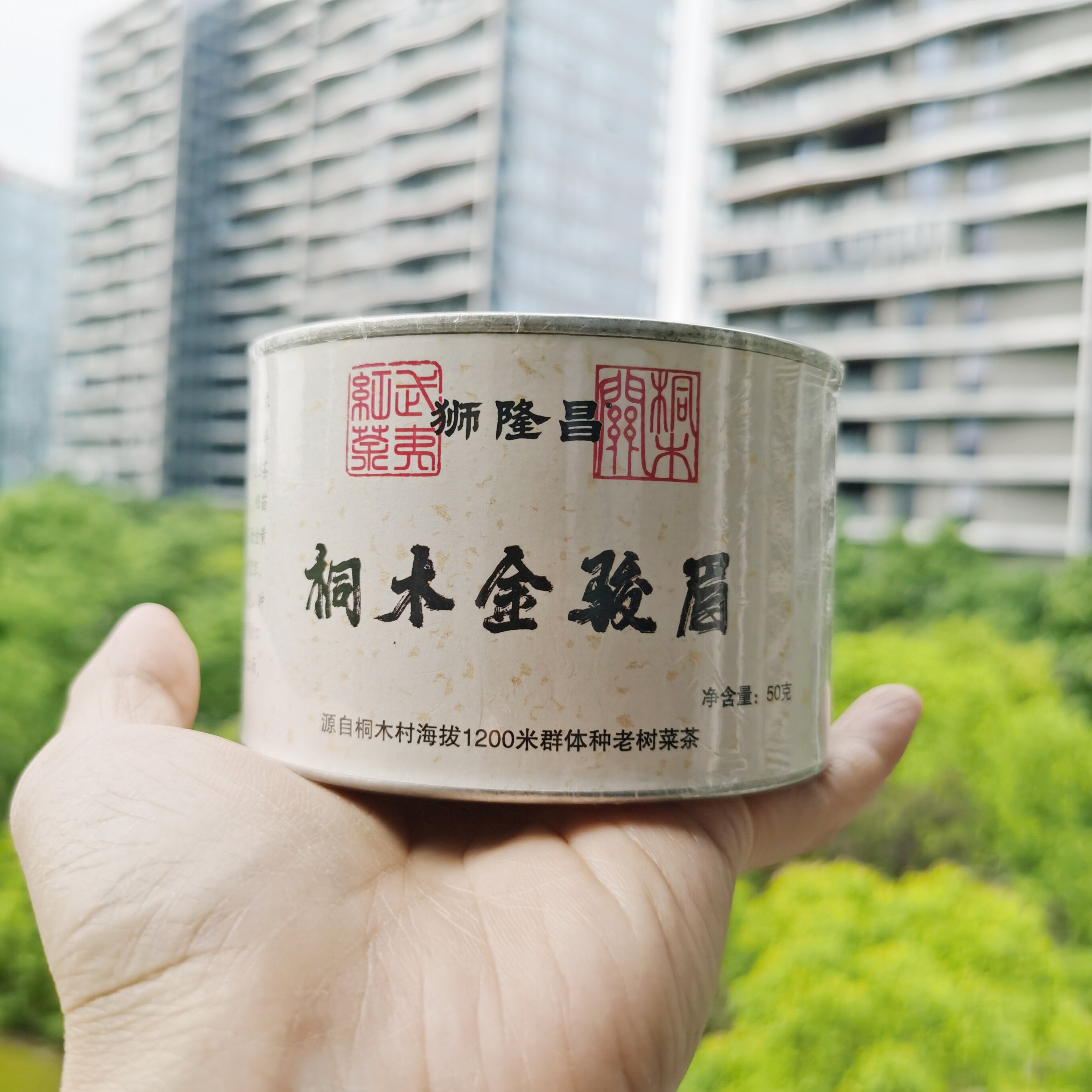 桐木菜茶金骏眉50克  花果蜜金骏眉