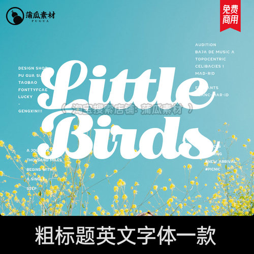 粗标题英文字体下载 pr fcpx procreate字库花体连笔商用ps字体包