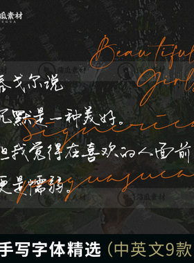 手写字体中英文9款字体包美易pad素材优雅水印签名文字ps字体下载