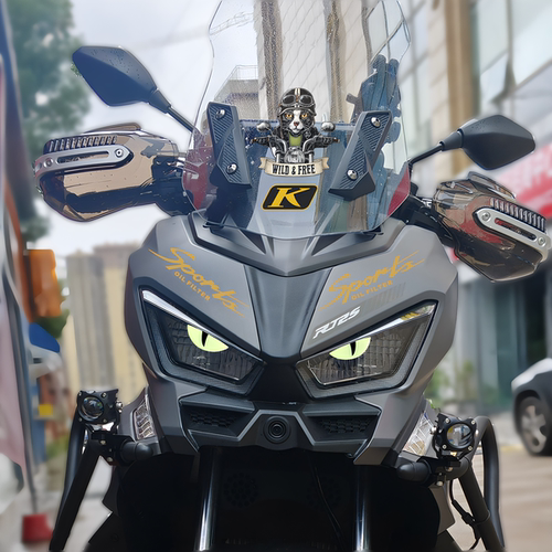 适用赛科龙RT250/150S改装饰贴纸