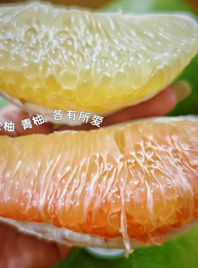 南拾壹|玛瑙金柚 茉莉香柚 泰国青柚 蜜柚 清爽甜润 夏日送凉意~