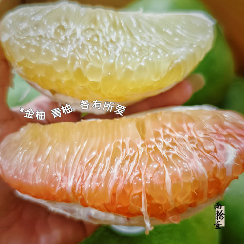 南拾壹|玛瑙金柚 茉莉香柚 泰国青柚 蜜柚 清爽甜润 夏日送凉意~