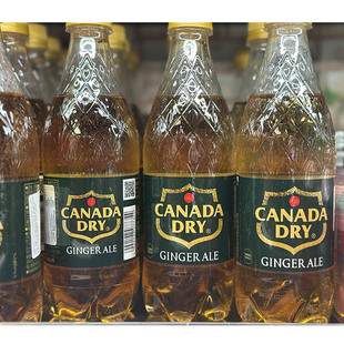 代购日本进口 CANADA DRY姜汁汽水/姜味有气饮品 500毫升*6