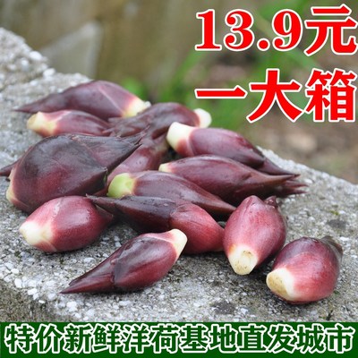 最新优惠券大全 小半折