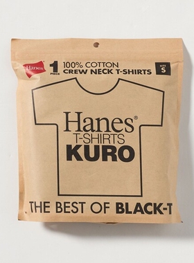 东京胖黄瓜日本代购 Hanes 打底短袖T恤 HM1-D202