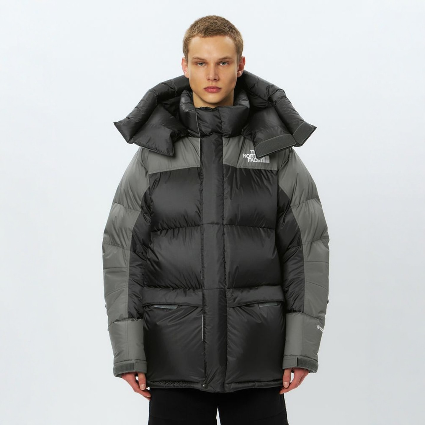 【7折】TNF 日版 GORE-TEX WINDSTOPPER 1994探险羽绒服 ND92547
