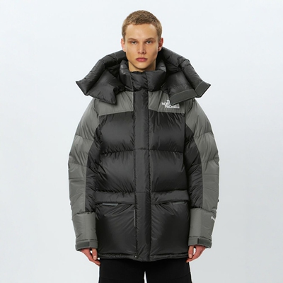 【7折】TNF 日版 GORE-TEX WINDSTOPPER 1994探险羽绒服 ND92547