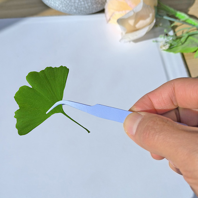 不锈钢弯头镊子糖果彩色加厚镊植物标本转贴纸DIY咕卡专用小夹子