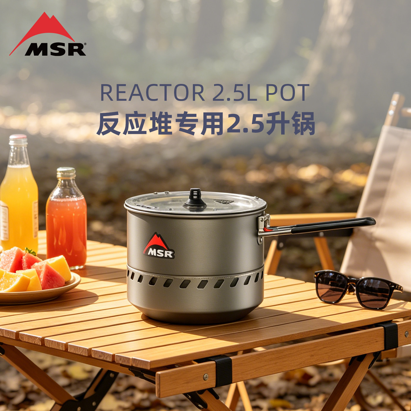 MSR Reactor 2.5L Pot  反应堆专用2.5升锅户外野营徒步便携炊具