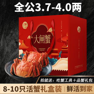 活蟹现货苏州精品大闸蟹礼盒团购特大全公螃蟹3.7-4两鲜活水产