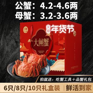 年货活蟹特大现货大闸蟹礼盒团购鲜活公蟹4.2-4.6两母蟹3.2-3.6两