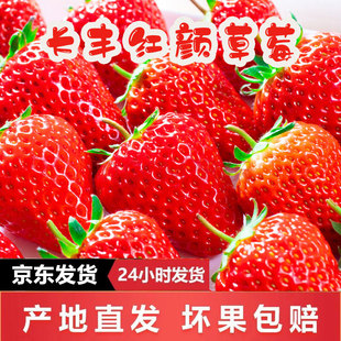 【送货上门】长丰红颜草莓精品果2026新鲜当季水果99奶油草莓产地