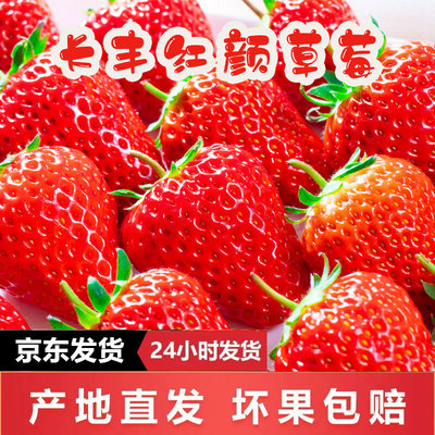 【送货上门】长丰红颜草莓精品果2026新鲜当季水果99奶油草莓产地