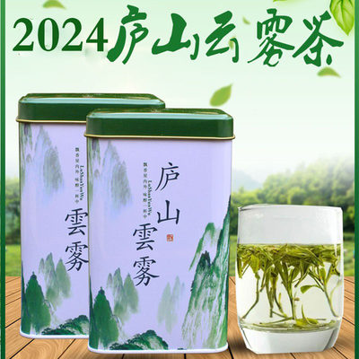 2024新茶庐山云雾茶春季特级耐泡