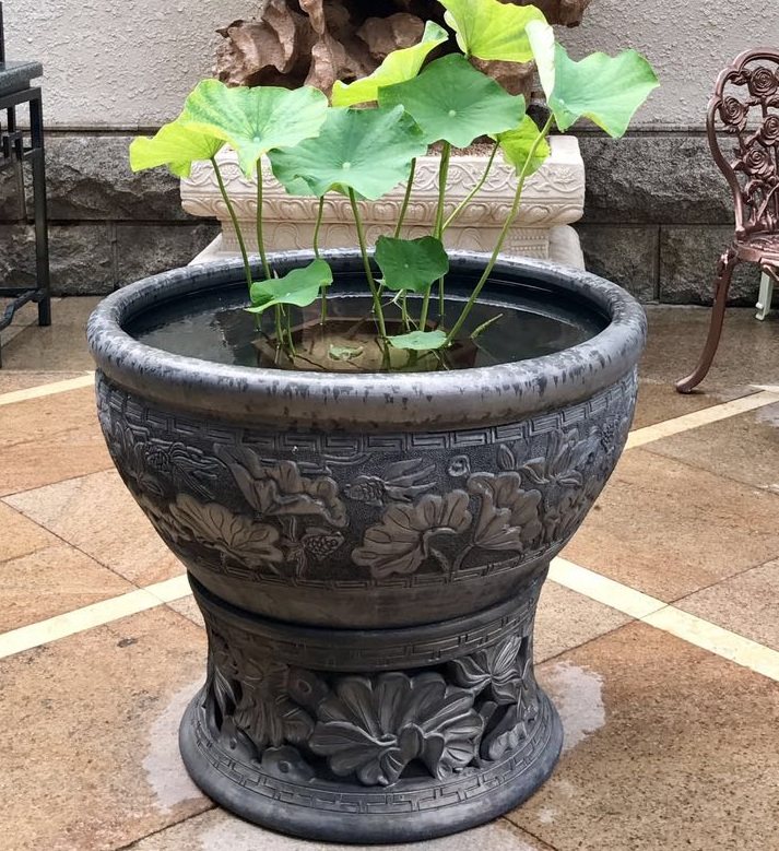 老北京鱼盆泥盆鱼缸,荷花缸乌龟缸睡莲盆金鱼缸陶瓷鱼缸古法养鱼