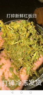 冰冻新鲜杠板归泥捣碎  鲜杠板归打碎发货  蛇倒退捣汁带渣冷冻