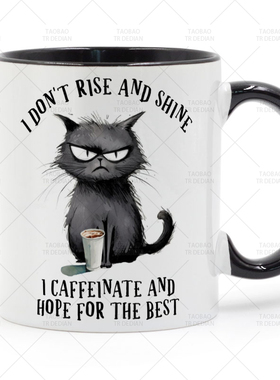 I don't Rise and Shine 潦草猫 咖啡陶瓷马克杯喝水杯