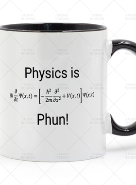 Physics is Phun! Schrodinger Equation 薛定谔方程陶瓷马克杯