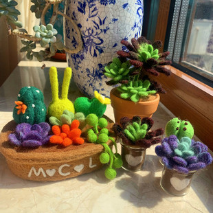 成品定制羊毛毡多肉拼盘多肉植物多肉大集合车载摆件生日礼物闺蜜