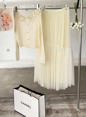 轻奢小香风韩版ulzzang早春新款法式气质时尚高腰百搭网纱半身裙