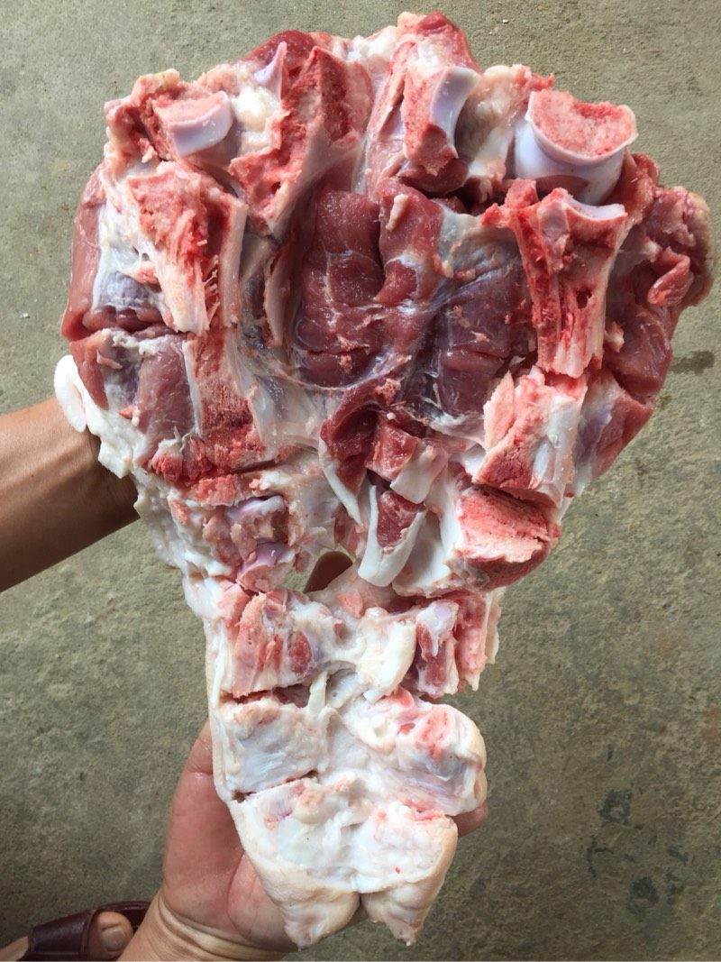 散养土猪手3斤1个前脚猪后腿土猪蹄生鲜新鲜圆蹄本地大猪生猪脚尖