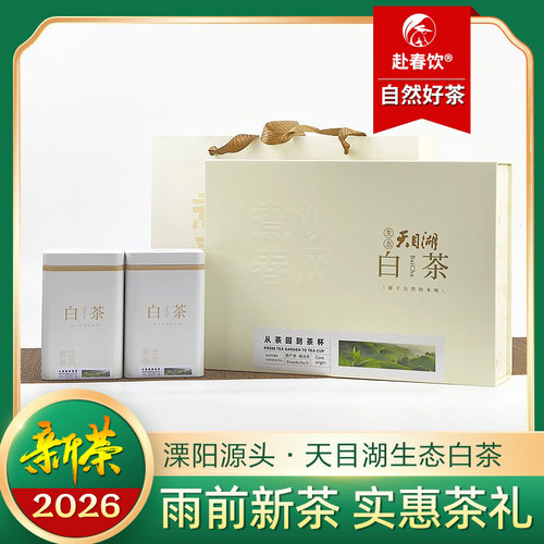 天目湖白茶雨前新茶实惠茶礼