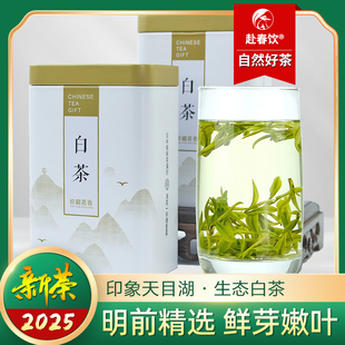2024新绿茶鲜嫩芽明前特优级溧阳正宗高山天目湖生态白茶 50g 散装