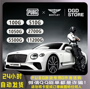 PUBGg币steam端绝地求生吃鸡游戏G币宾利物资箱官方兑换码CDK