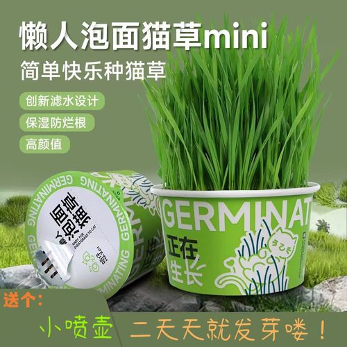 抖音兔子口粮饼干泡面猫狗草干净宠物零食吐毛球清洁口腔龙猫咪