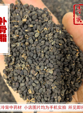 寻野实拍 药材 补骨脂 婆固脂破故纸 补骨鸱 黑故子盐炒 盐补骨脂