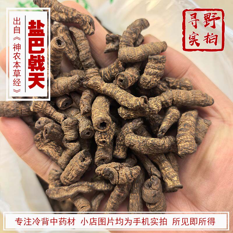 寻野实拍 药材 盐巴戟天 大条（巴戟巴吉天 巴戟肉）盐巴戟天广东