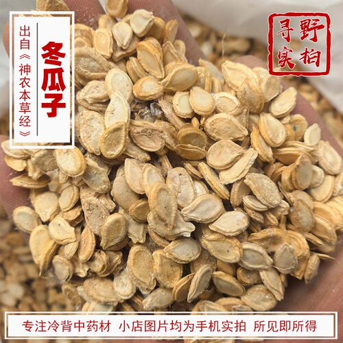 寻野实拍中药材冬瓜子