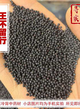 寻野实拍中药材王不留行